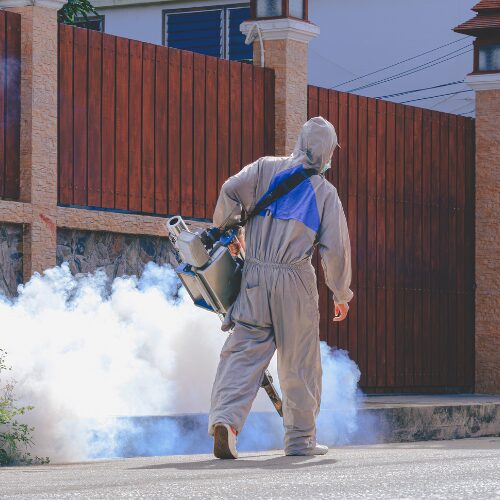 Export fumigation in Pune