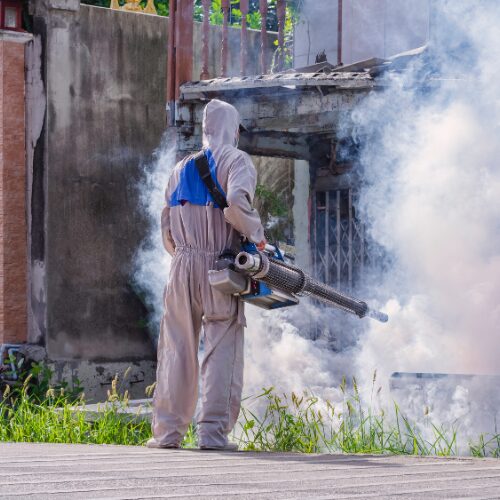 Export fumigation in Sambhajinagar